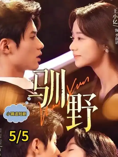 山海纪事 热播电视剧全集